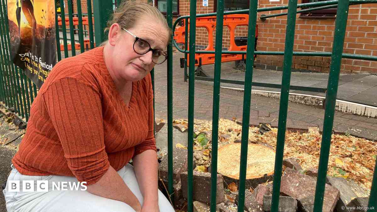 Tree felling goes ahead despite campaign