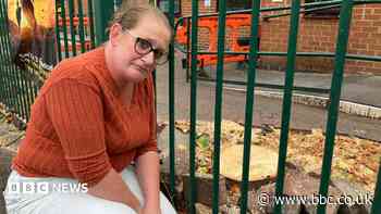 Tree felling goes ahead despite campaign