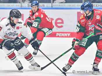 DEL: Kölner Haie feiern Auswärtssieg in Augsburg
