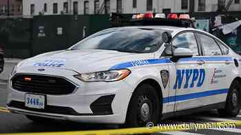 New York City woman is found stabbed to death with head trauma in Central Park during powerful nor'easter storm