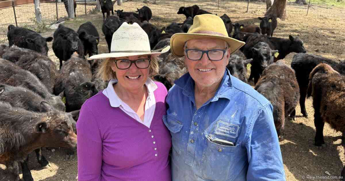 Tough calls, empty gauges as Northern producers miss out on rain yet again