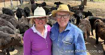 Tough calls, empty gauges as Northern producers miss out on rain yet again