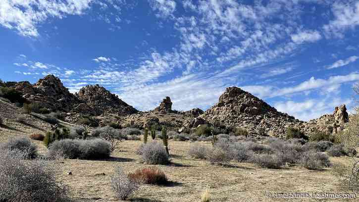 California acquired 640 acres near Pioneertown for western Joshua tree conservation