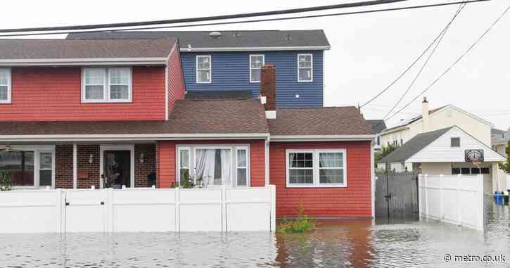 Shark ‘spotted swimming’ in driveways of flooded suburbs in fatal storm