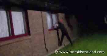 Windows smashed and paint sprayed as activists target Lanarkshire factory
