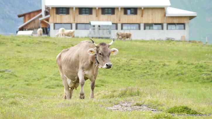 Suiza rechazó en referéndum limitar producción y consumo de alimentos de origen animal