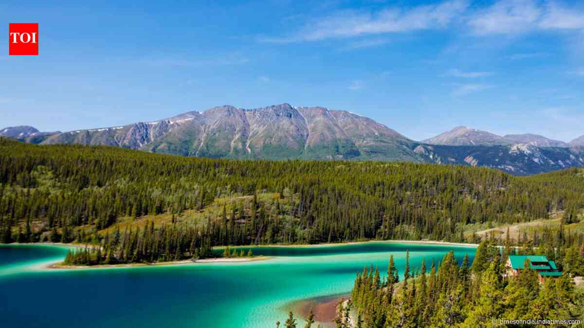 In 1993, a project set out to reconnect wildlife habitat from Yellowstone to Canada's Yukon