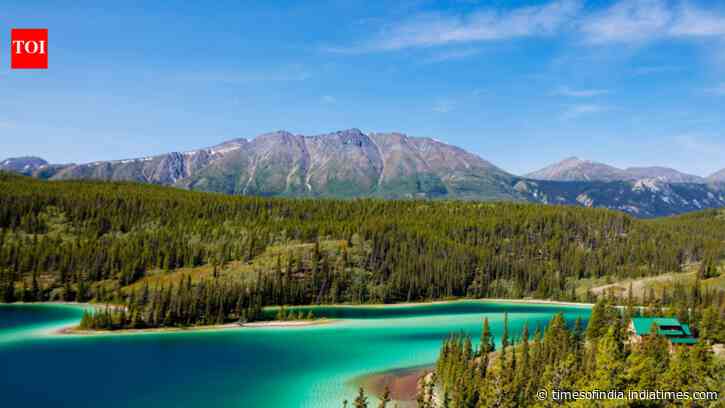 In 1993, a project set out to reconnect wildlife habitat from Yellowstone to Canada's Yukon