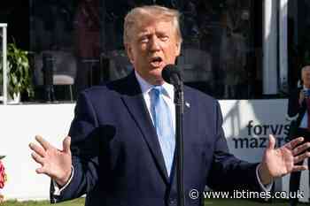 'F--King Paedophile!' Trump Heckled by Golf Fan After Boasting of 'Great Reception' at Presidents Cup