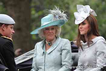 Queen Camilla 'Stepped In' When Princess Kate Got 'Distracted' by Queen Máxima at 2019 Key Royal Event
