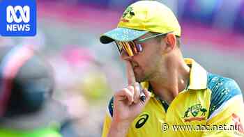 Australian middle order collapses again as South Africa claims ODI