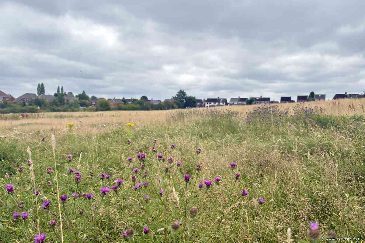 Call for nature ‘right next to where people live’ amid urban green space push