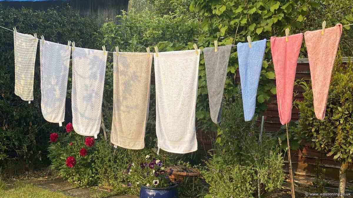 My towels come out the wash softer and fluffier if I use 1 natural item that beats vinegar