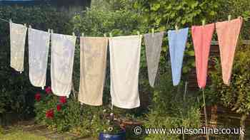 My towels come out the wash softer and fluffier if I use 1 natural item that beats vinegar