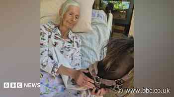 Horse lover's final wish fulfilled with pony visit