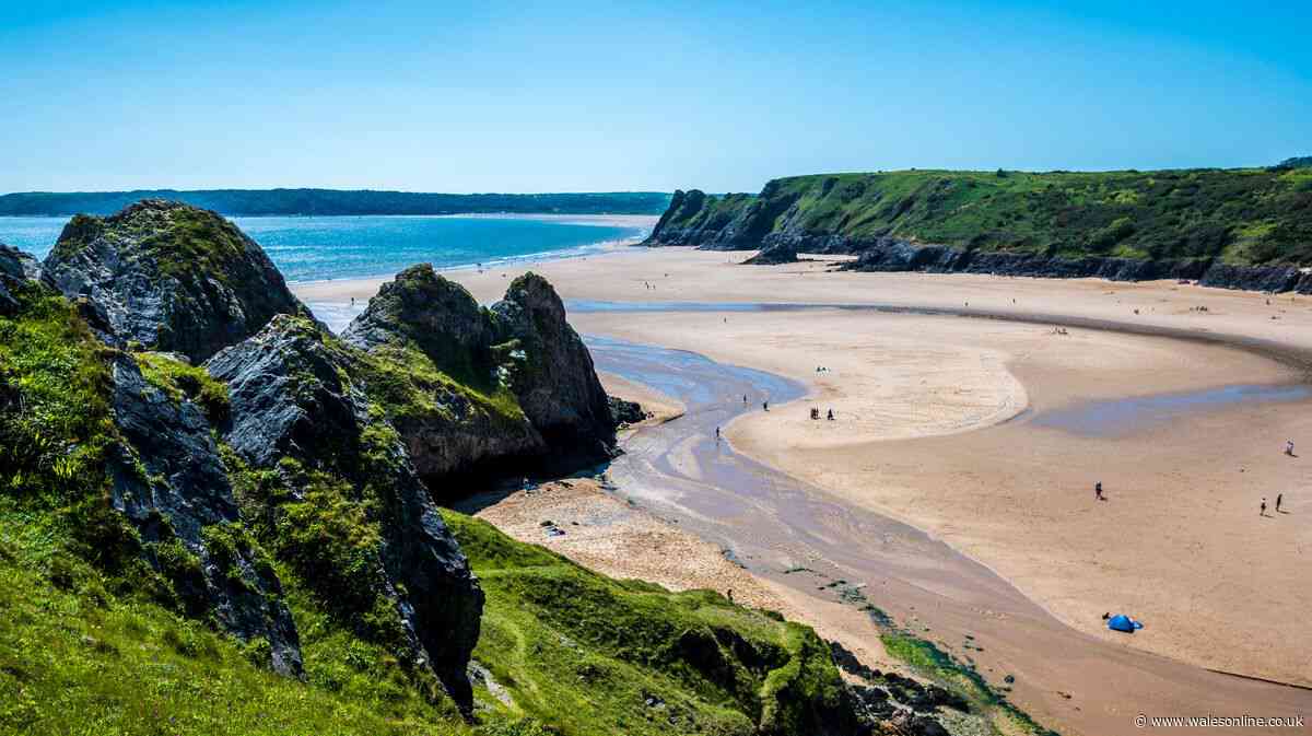 Not Rhossili or Tenby - Wales has UK's best dog-friendly beach that you need to visit in autumn