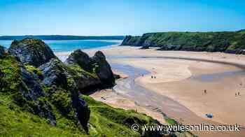 Not Rhossili or Tenby - Wales has UK's best dog-friendly beach that you need to visit in autumn