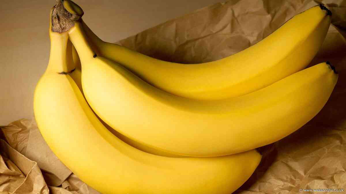 Bananas will not turn brown or black for over 2 weeks if moved to 1 simple location