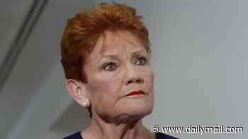 Pauline Hanson claims $340m in multicultural grants flowed to Labor-held seats: 'Staggering'