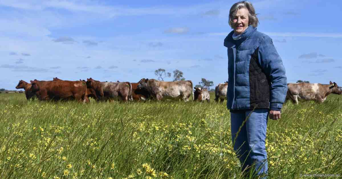 'Shorthorns kept me alive': bittersweet end to stud breeding for Gillian Leeds