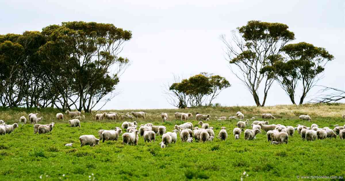 Blumson family's 3586ha farming aggregation near Ceduna is up for sale