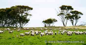 Blumson family's 3586ha farming aggregation near Ceduna is up for sale