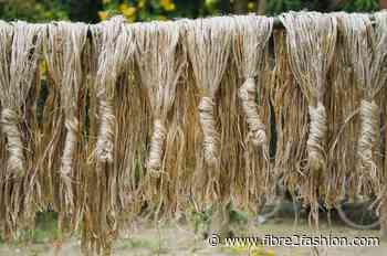 Bangladesh extends loan relief deadline for raw jute exporters