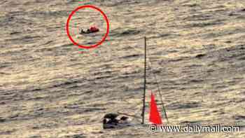Sailors on Aussie-flagged yacht stranded for hours at sea after frightening whale encounter
