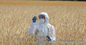 Climate change fuelling mycotoxin risks with ‘no known solution’