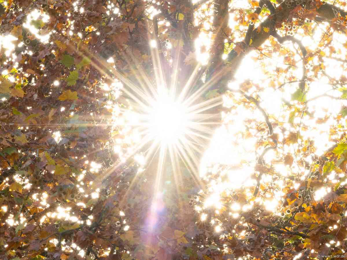 Der Altweibersommer dreht in NRW nochmal richtig auf