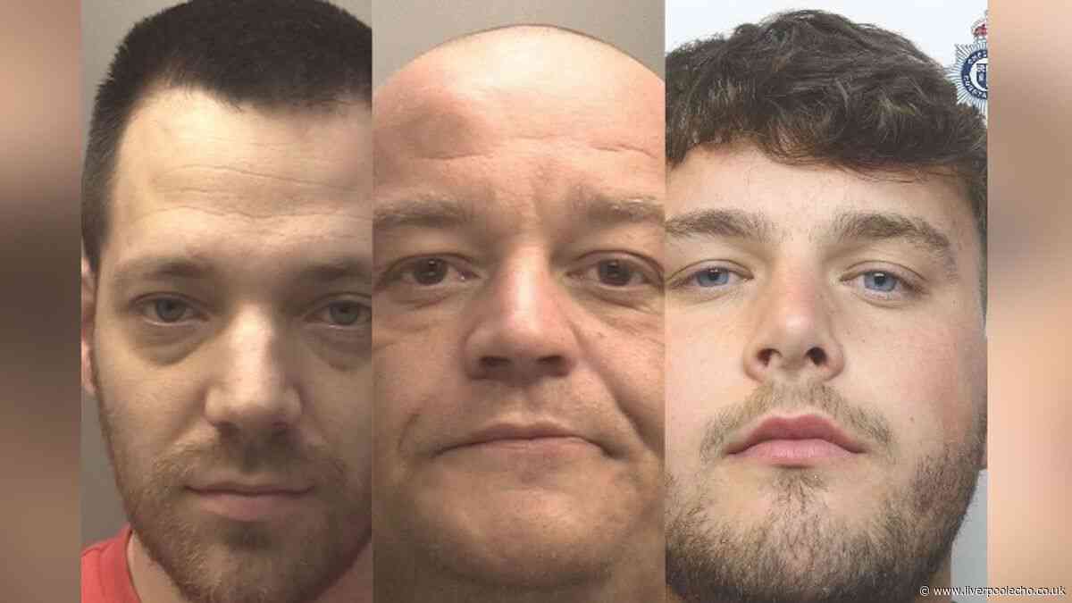Man caught by two paedophile hunters, thug threatened to 'skin' partner and bully who attacked partner on Tenerife flight jailed this week