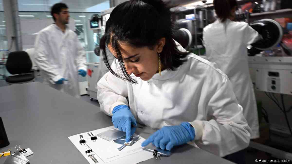 TNO waarschuwt: Nederlandse start-ups verliezen voorsprong door stapeling van problemen