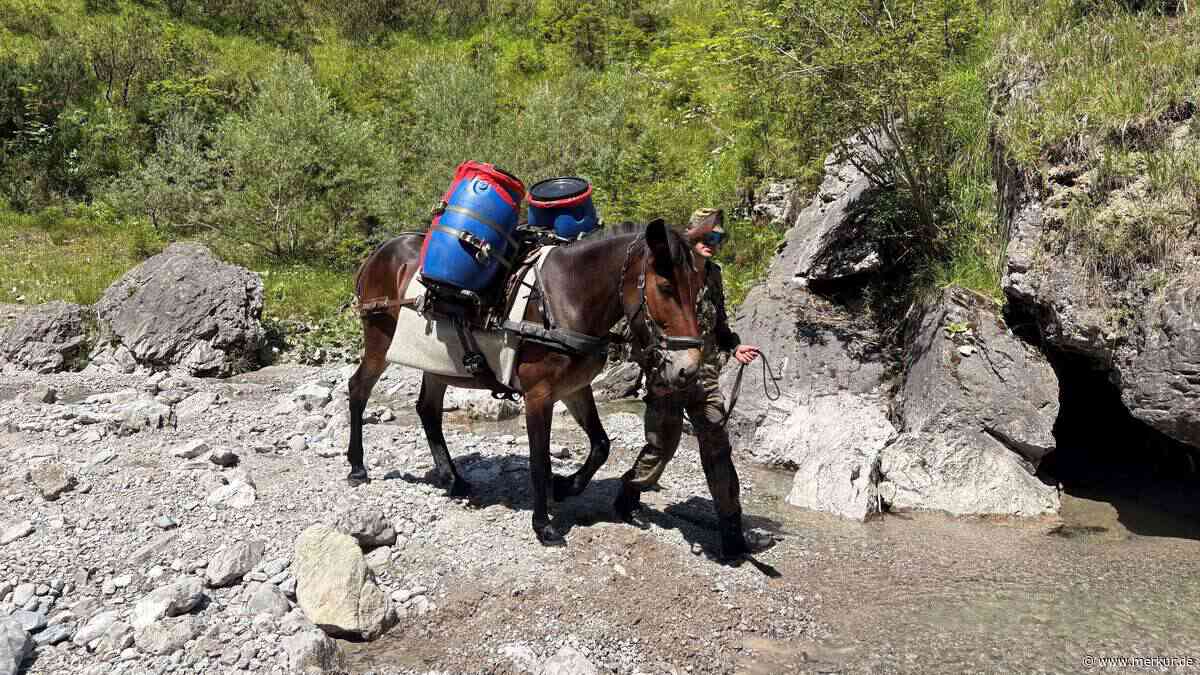 Prepper-Lager im Karwendel: Wer es anlegte, bleibt ungeklärt