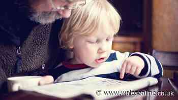 Study explains truth about puzzles, ageing and cognitive decline