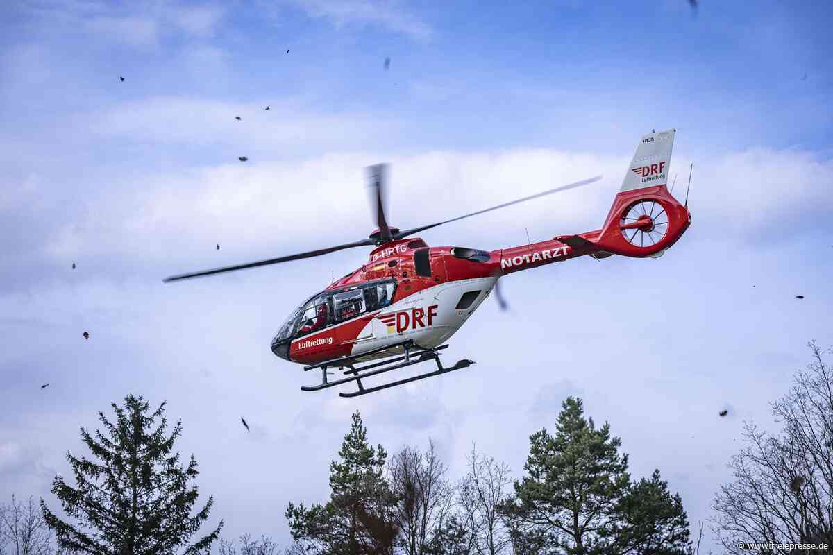 Sächsische Schweiz: Wanderer stürzt vier bis fünf Meter tief in die Kirnitzsch