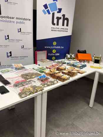 In Limburg: Groot crimineel drugsnetwerk blootgelegd in Limburg: 10 personen gearresteerd