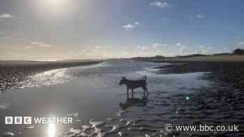 Late September warmth before wind and rain returns this week