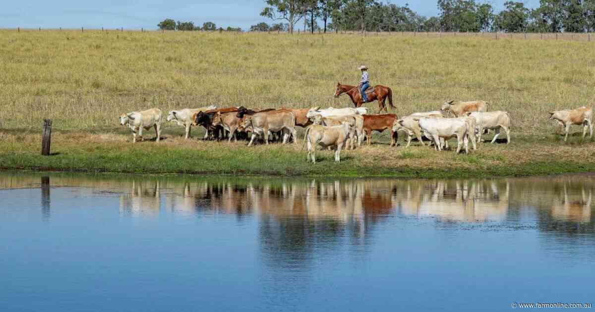Substantial grazing property featuring quality cattle country | Video