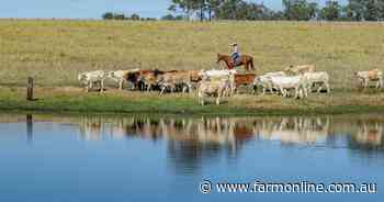 Substantial grazing property featuring quality cattle country | Video