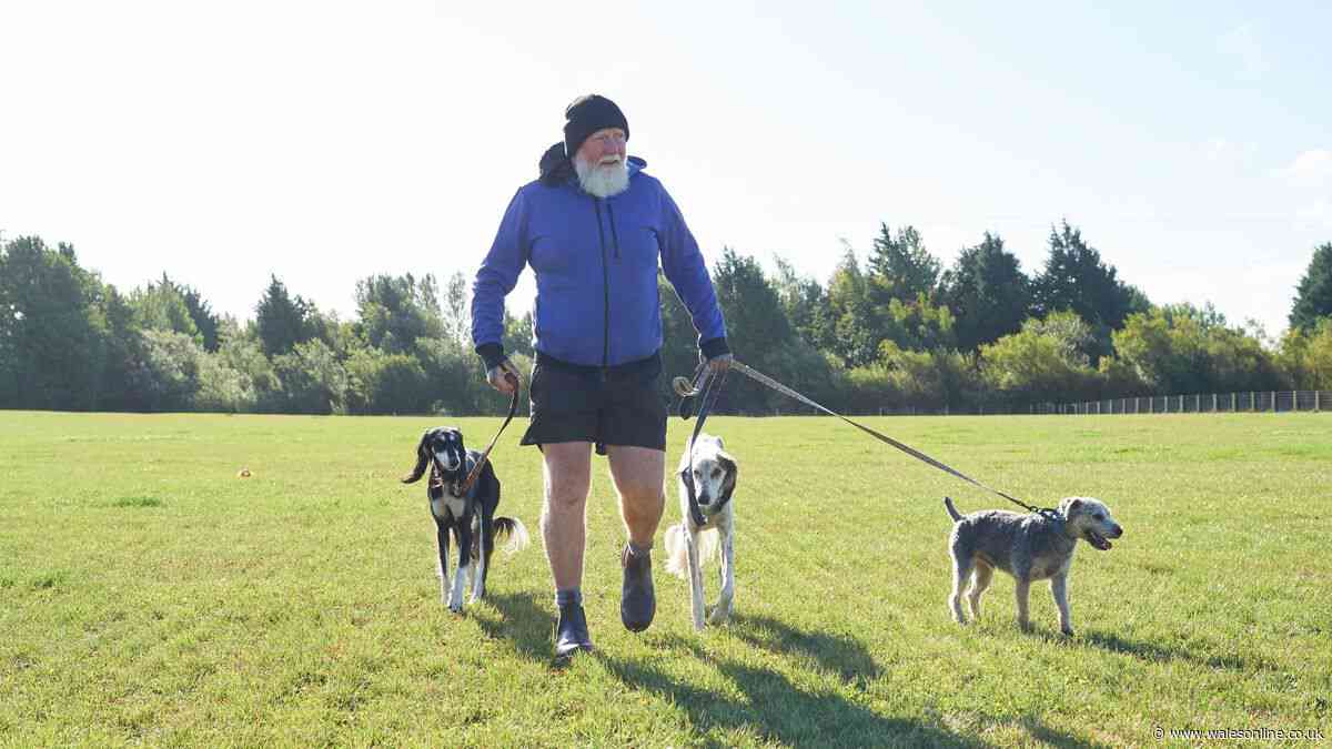 Dog owners warned over common mistake that could make pets 'invisible' to cars this autumn