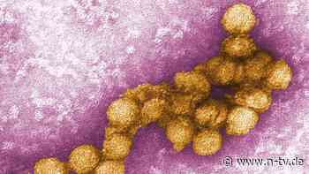 Fälle auch in Deutschland: West-Nil-Virus breitet sich in Europa aus