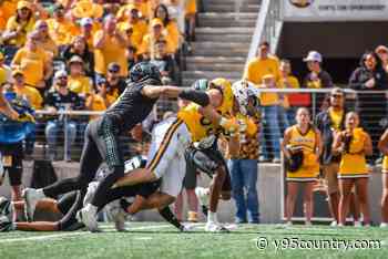 Gallery: Pokes Leave Visitors Chasing Rainbows