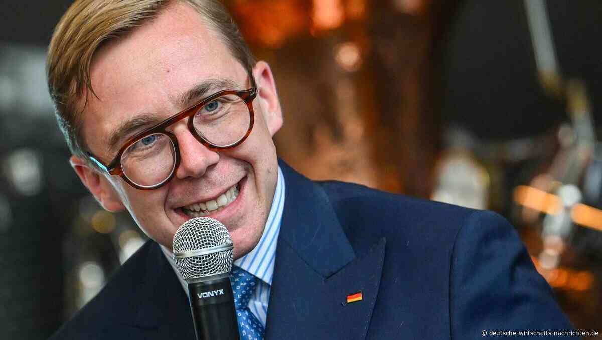 CDU demontiert sich selbst: Amthor mit Strandkorb in "Inside CDU"