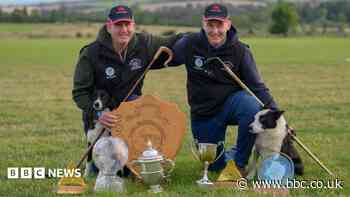 Father and son crowned Sheep Dog World Trial champions