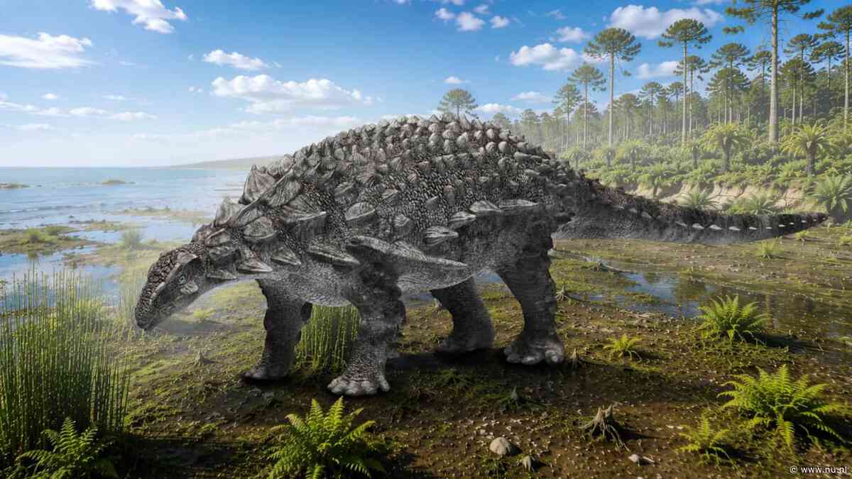 Nieuwe gepantserde dinosoort met stekels ontdekt in Japan