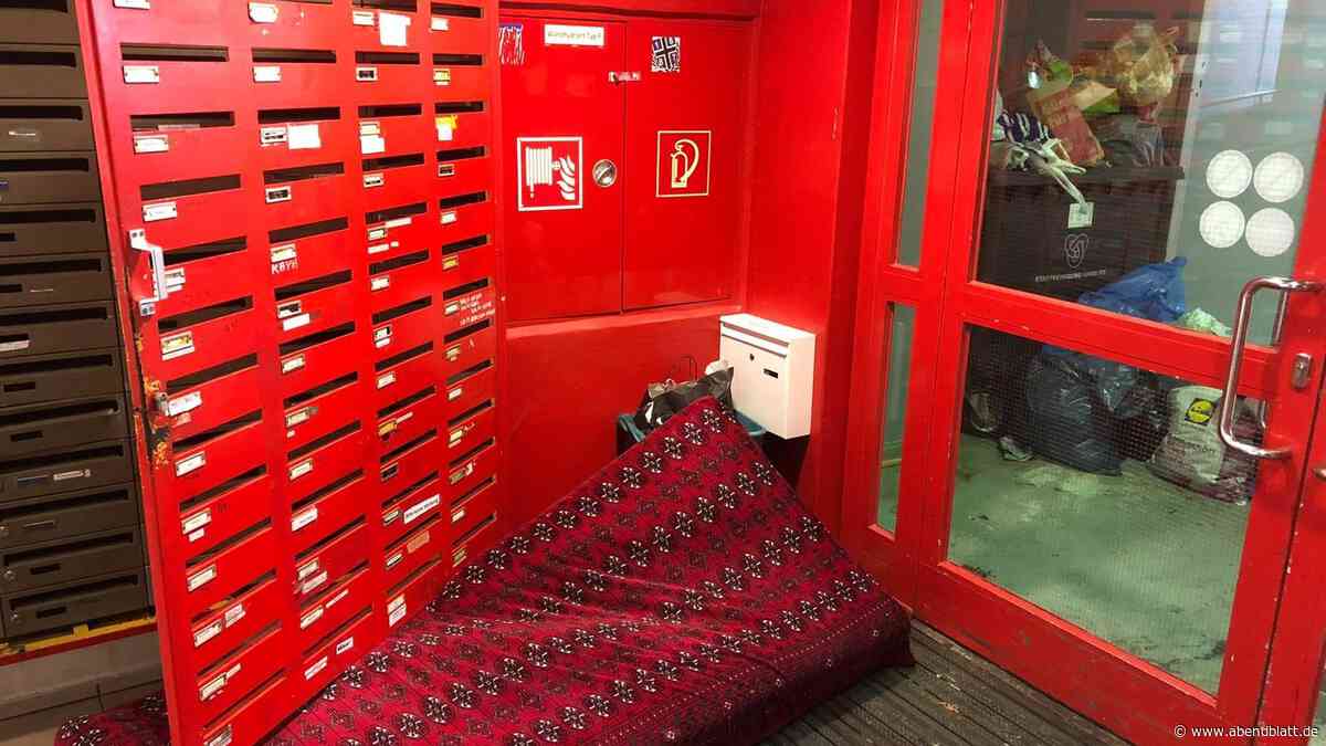 Zwischen Ratten, Schimmel und Müll: Hamburger Mieter sind verzweifelt