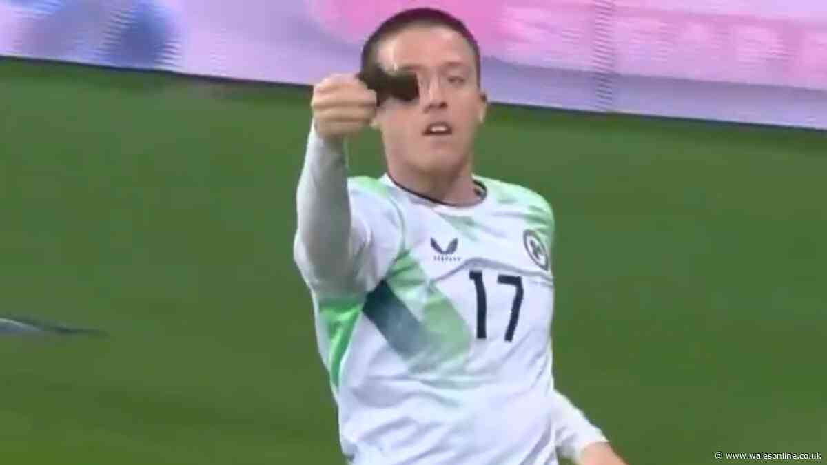 Cardiff City star Jack Moylan sparks huge reaction with pointed goal celebration