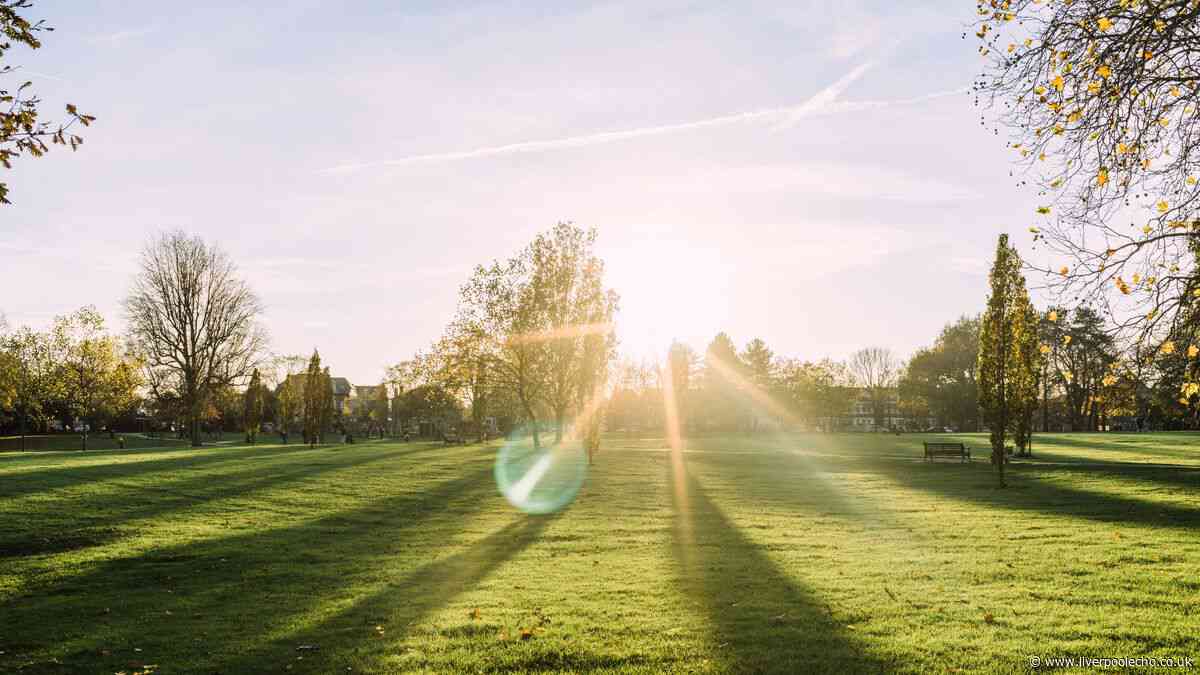 Met Office says more 'warmer' weather is on the way