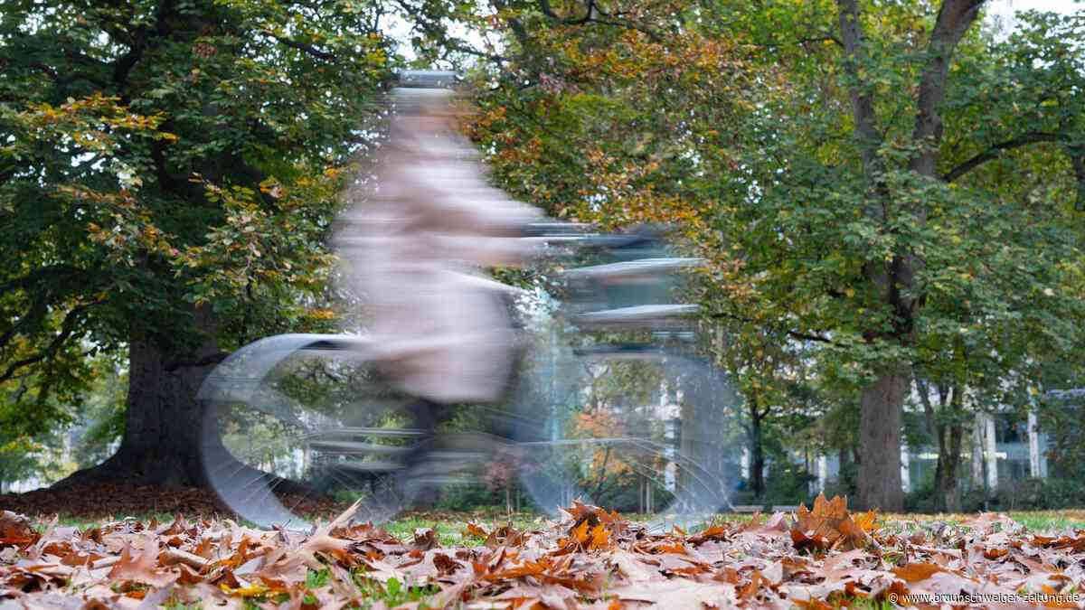 Ihre Meinung ist gefragt: Hier können Sie Wolfenbüttels Fahrradfreundlichkeit bewerten