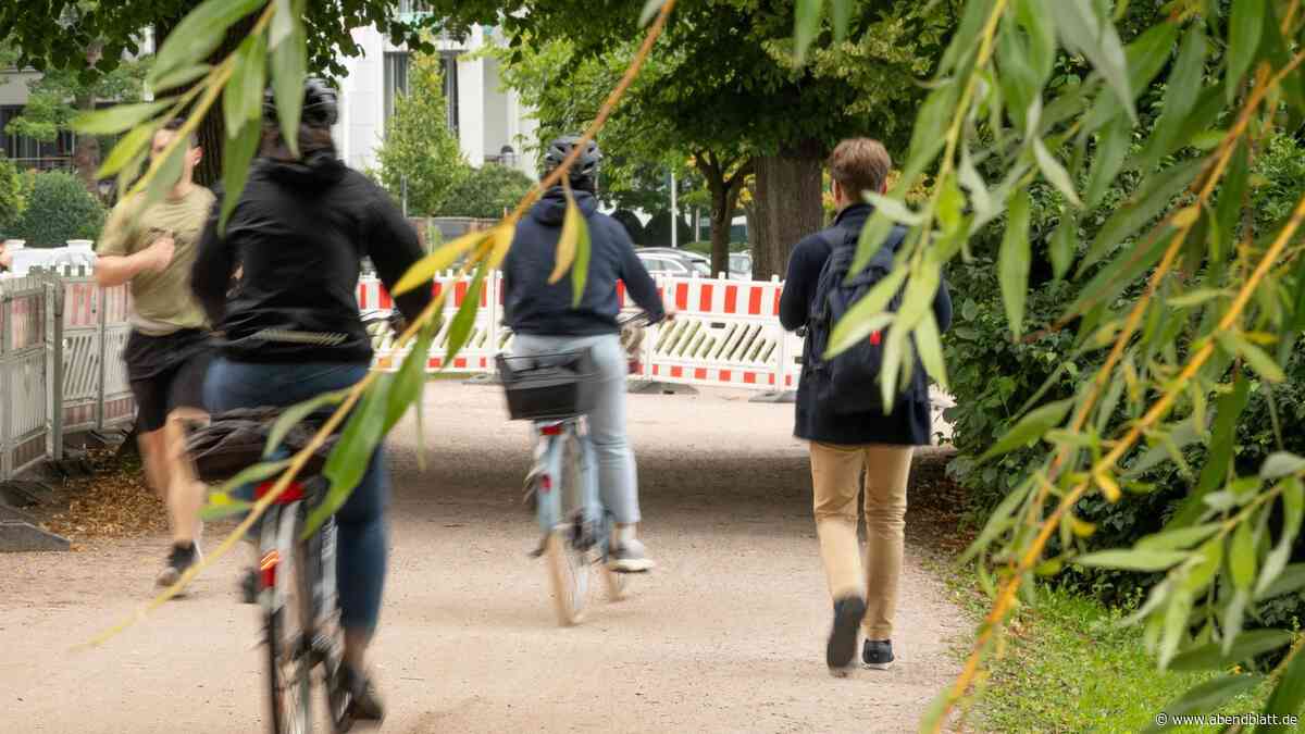 „Rad-Rambos“ an der Alster: Hamburger ärgern sich über rücksichtslose Radler